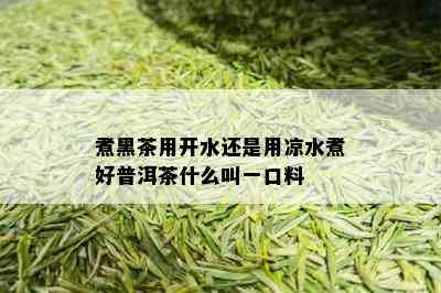 煮黑茶用开水还是用凉水煮好普洱茶什么叫一口料