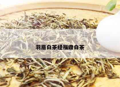 羽眉白茶经福鼎白茶