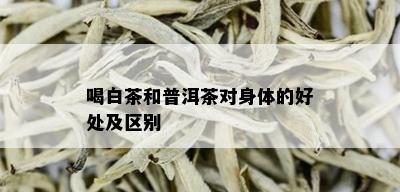 喝白茶和普洱茶对身体的好处及区别