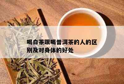 喝白茶跟喝普洱茶的人的区别及对身体的好处