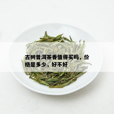 古树普洱茶香值得买吗，价格是多少，好不好