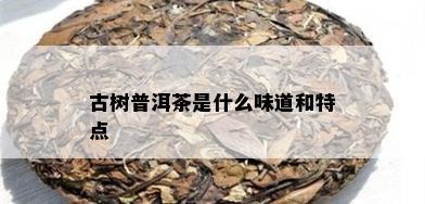 古树普洱茶是什么味道和特点