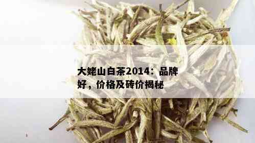 大姥山白茶2014：品牌好，价格及砖价揭秘