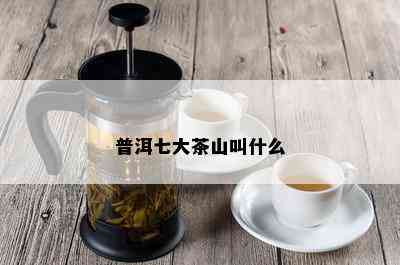 普洱七大茶山叫什么