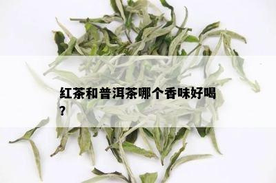 红茶和普洱茶哪个香味好喝？