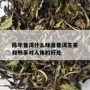 陈年普洱什么味道普洱生茶和熟茶对人体的好处