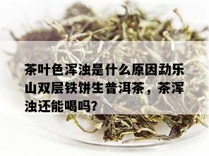 茶叶色浑浊是什么原因勐乐山双层铁饼生普洱茶，茶浑浊还能喝吗？