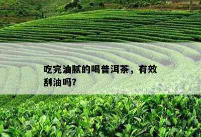 吃完油腻的喝普洱茶，有效刮油吗？