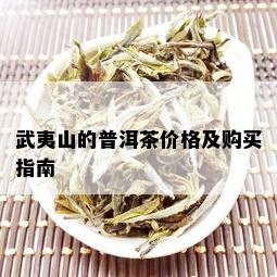 武夷山的普洱茶价格及购买指南