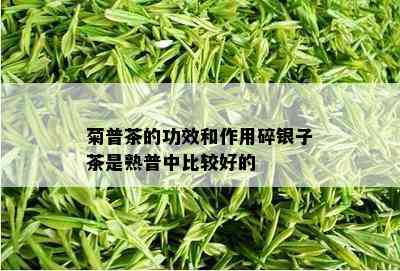 菊普茶的功效和作用碎银子茶是熟普中比较好的