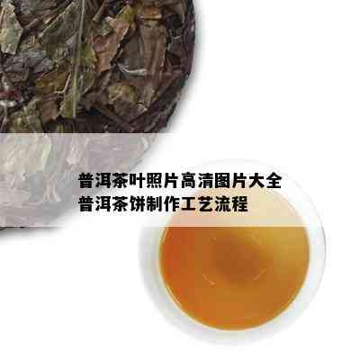 普洱茶叶照片高清图片大全普洱茶饼制作工艺流程