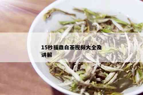 15秒福鼎白茶视频大全及讲解