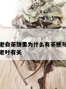 老白茶饼里为什么有茶梗与老叶有关