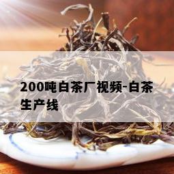 200吨白茶厂视频-白茶生产线