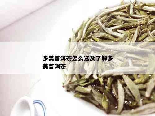 多美普洱茶怎么选及了解多美普洱茶