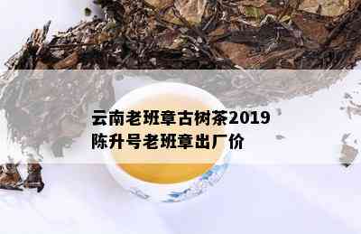 云南老班章古树茶2019陈升号老班章出厂价