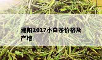 建阳2017小白茶价格及产地