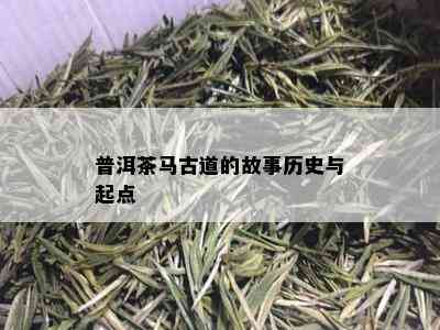 普洱茶马古道的故事历史与起点