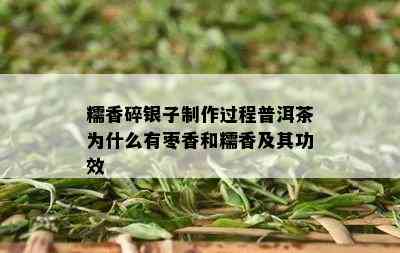 糯香碎银子制作过程普洱茶为什么有枣香和糯香及其功效