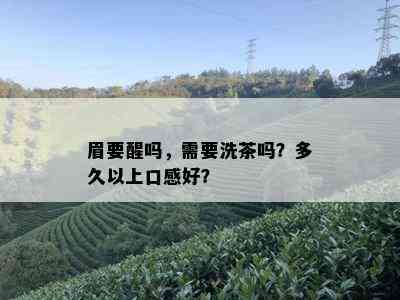 眉要醒吗，需要洗茶吗？多久以上口感好？