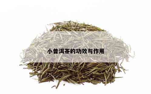 小普洱茶的功效与作用