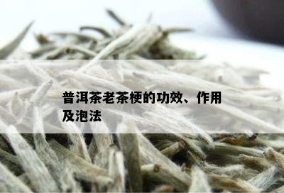 普洱茶老茶梗的功效、作用及泡法