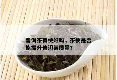 普洱茶有梗好吗，茶梗是否能提升普洱茶质量？