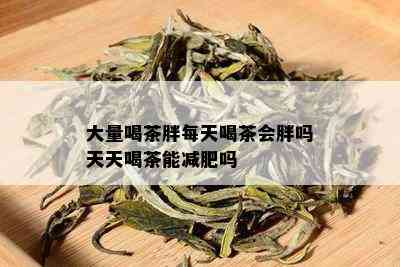 大量喝茶胖每天喝茶会胖吗天天喝茶能减肥吗