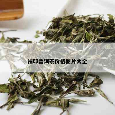 福印普洱茶价格图片大全