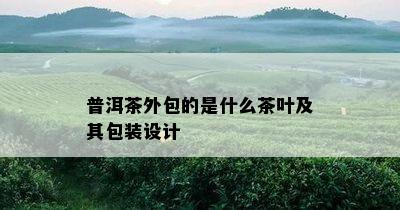 普洱茶外包的是什么茶叶及其包装设计