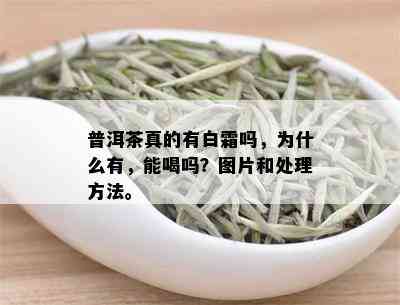 普洱茶真的有白霜吗，为什么有，能喝吗？图片和处理方法。