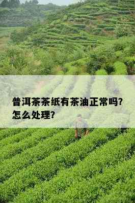 普洱茶茶纸有茶油正常吗？怎么处理？