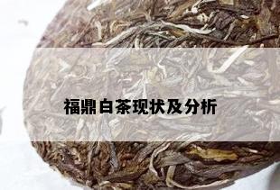 福鼎白茶现状及分析