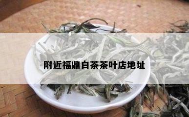 附近福鼎白茶茶叶店地址