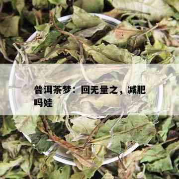 普洱茶梦：回无量之，减肥吗娃