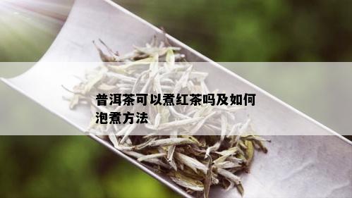 普洱茶可以煮红茶吗及如何泡煮方法