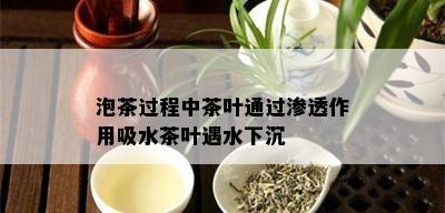 泡茶过程中茶叶通过渗透作用吸水茶叶遇水下沉