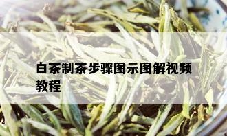 白茶制茶步骤图示图解视频教程