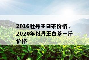 2016牡丹王白茶价格，2020年牡丹王白茶一斤价格