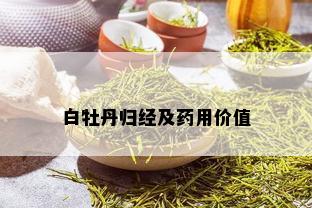 白牡丹归经及用价值