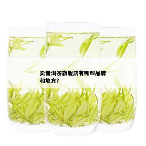 卖普洱茶旗舰店有哪些品牌和地方？