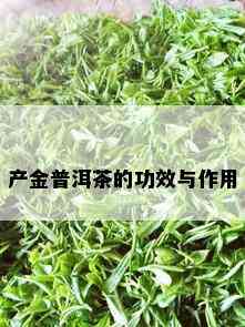 产金普洱茶的功效与作用