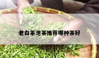 老白茶泡茶推荐哪种茶好