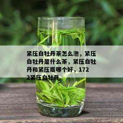 紧压白牡丹茶怎么泡，紧压白牡丹是什么茶，紧压白牡丹和紧压眉哪个好，1722紧压白牡丹