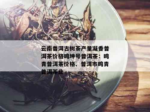 云南普洱古树茶产量凝香普洱茶价格鸣坤号普洱茶：鸣青普洱茶价格、普洱市鸣青普洱茶业