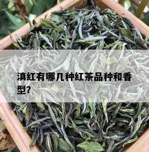 滇红有哪几种红茶品种和香型？