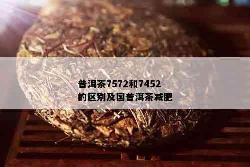 普洱茶7572和7452的区别及国普洱茶减肥