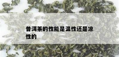 普洱茶的性能是温性还是凉性的