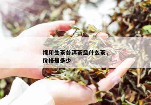 绿印生茶普洱茶是什么茶，价格是多少