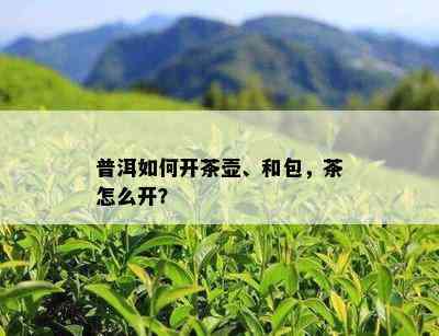 普洱如何开茶壶、和包，茶怎么开？